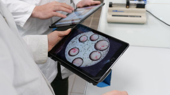 l'iPad au sein d'une école spécialisée dans la Chimie