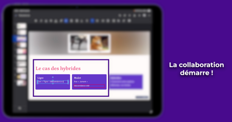la collaboration sur iPad